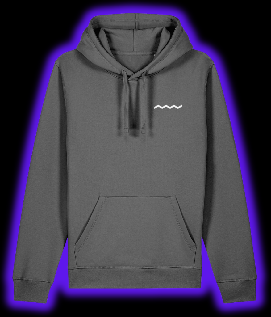 BMW 3 Series Grille Evolution Hoodie - Anthracite